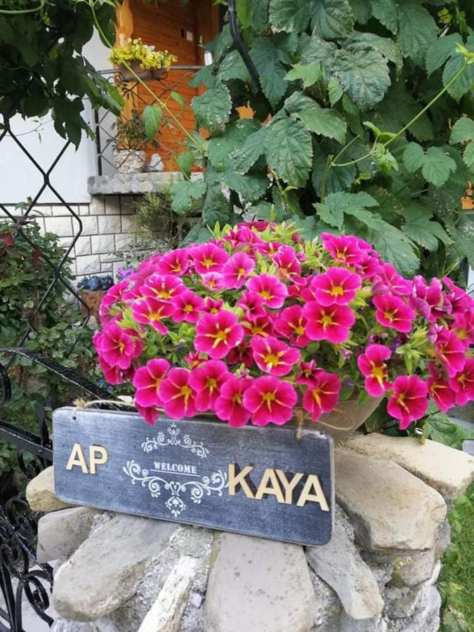 Apartment Kaya Мойстрана Екстер'єр фото